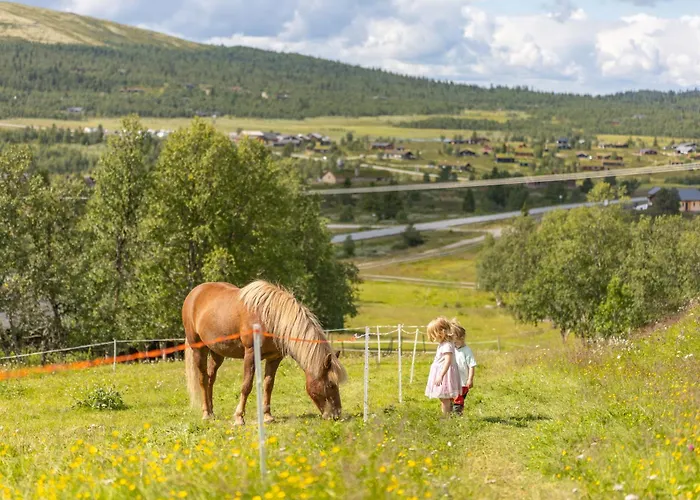 Venabu Fjellhotell