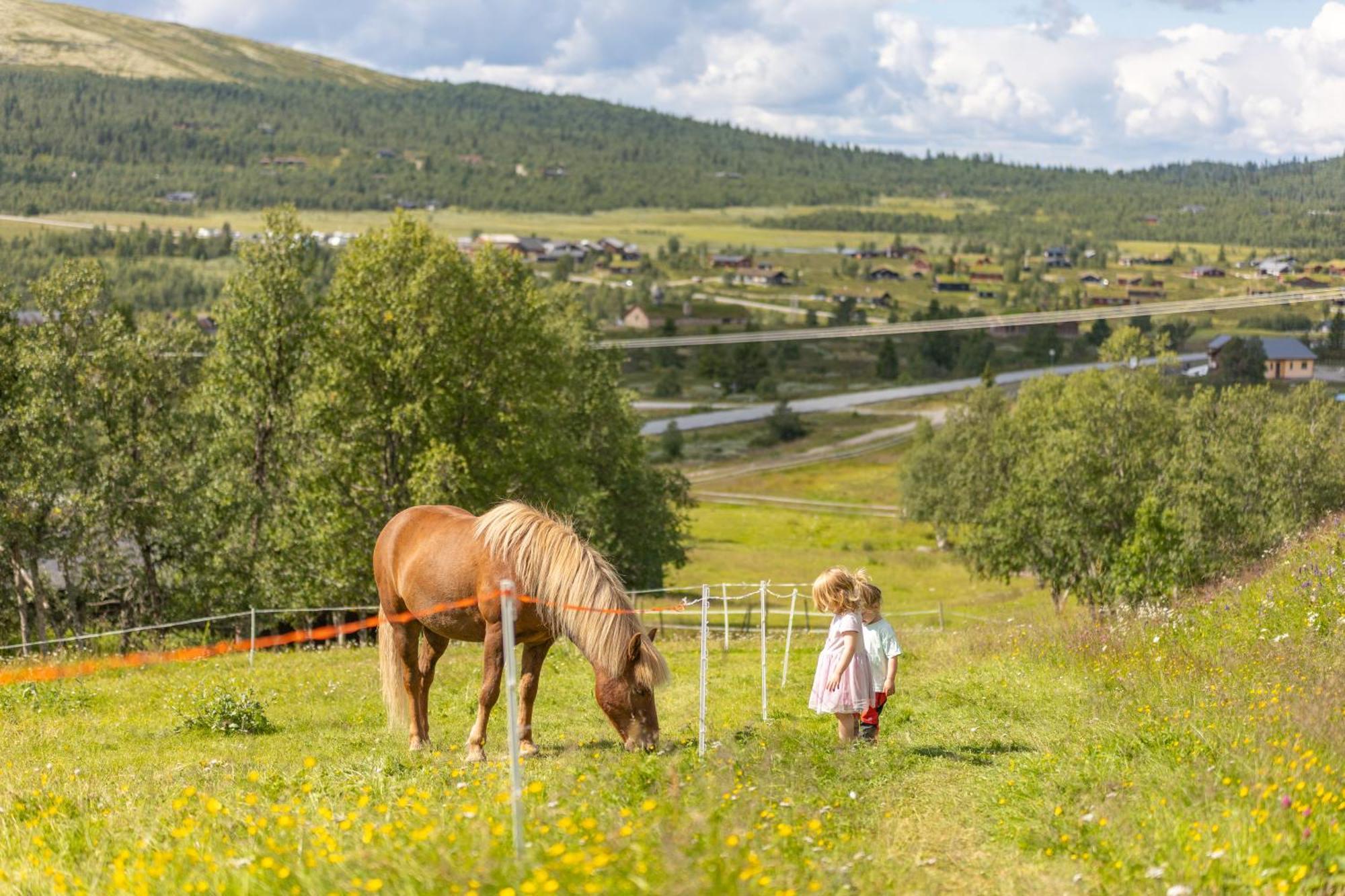 Venabu Fjellhotell Hotel