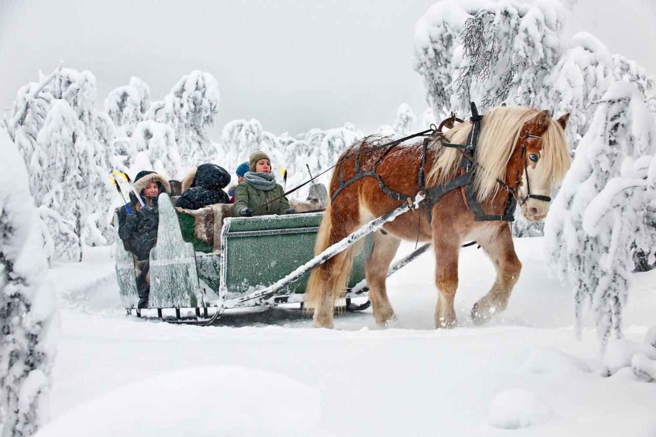 Venabu Fjellhotell 2* Venabygd