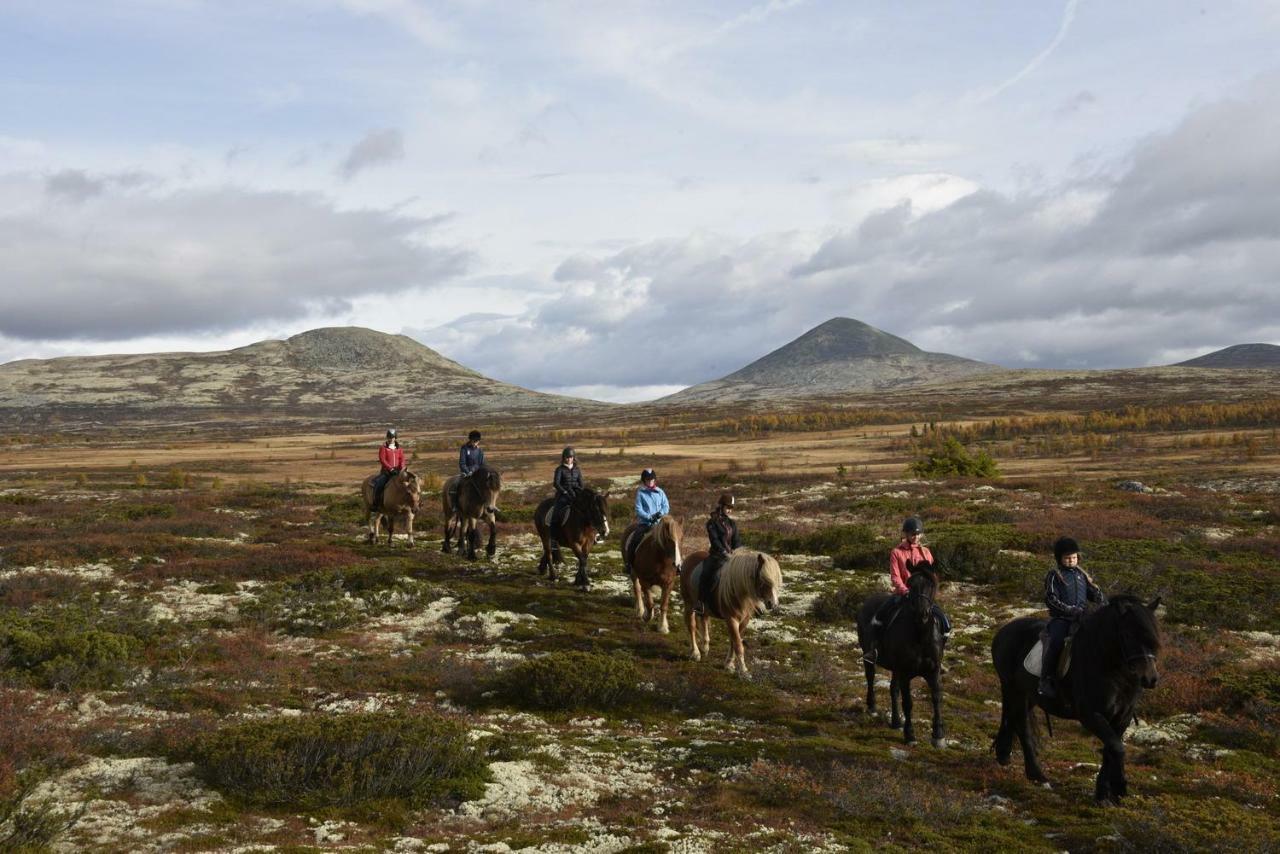 Venabu Fjellhotell 2*