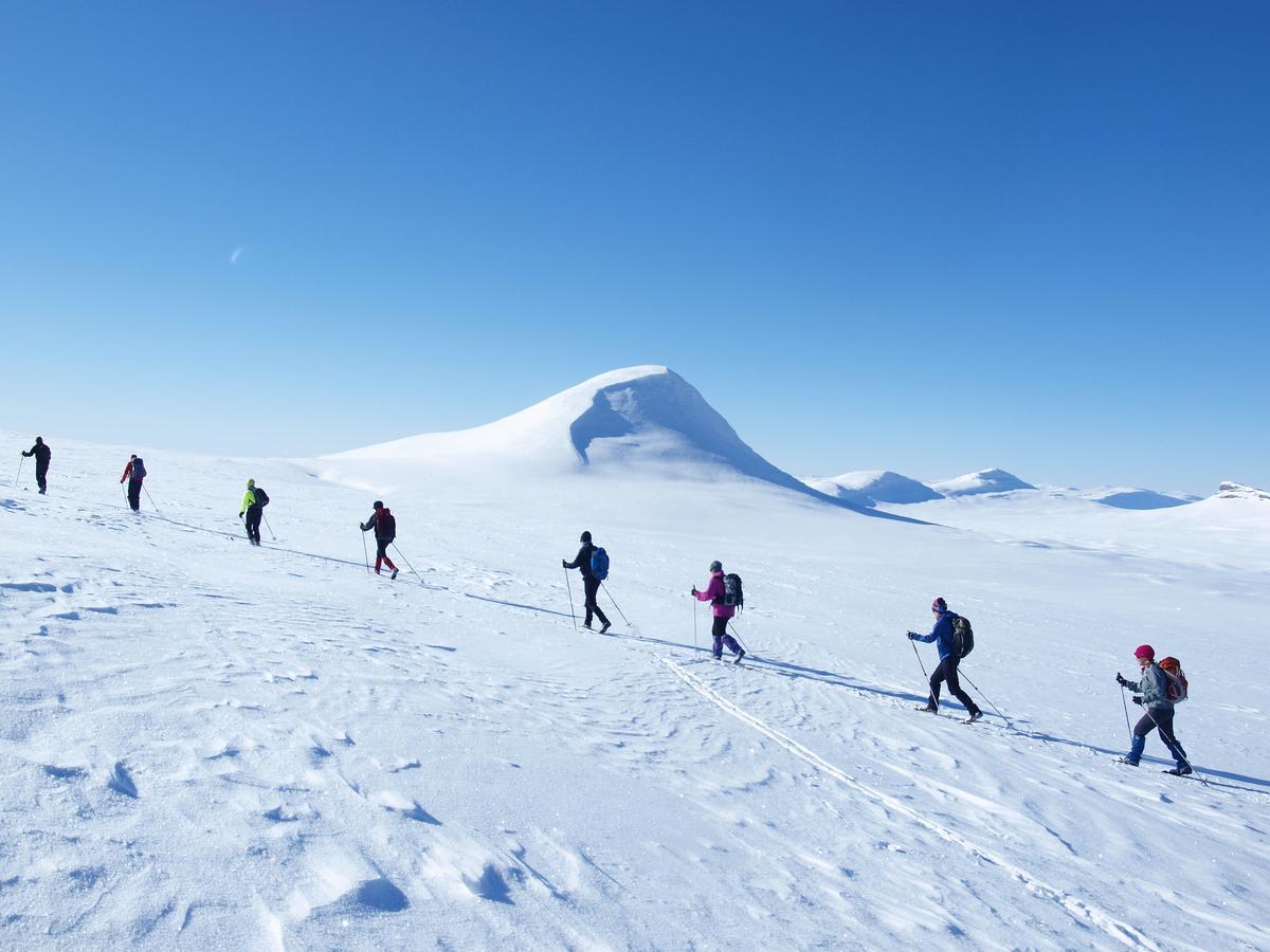Отель Venabu Fjellhotell